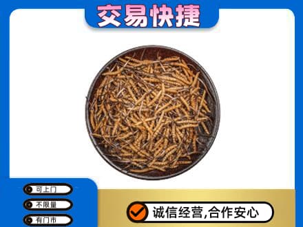 新乡回收散虫草